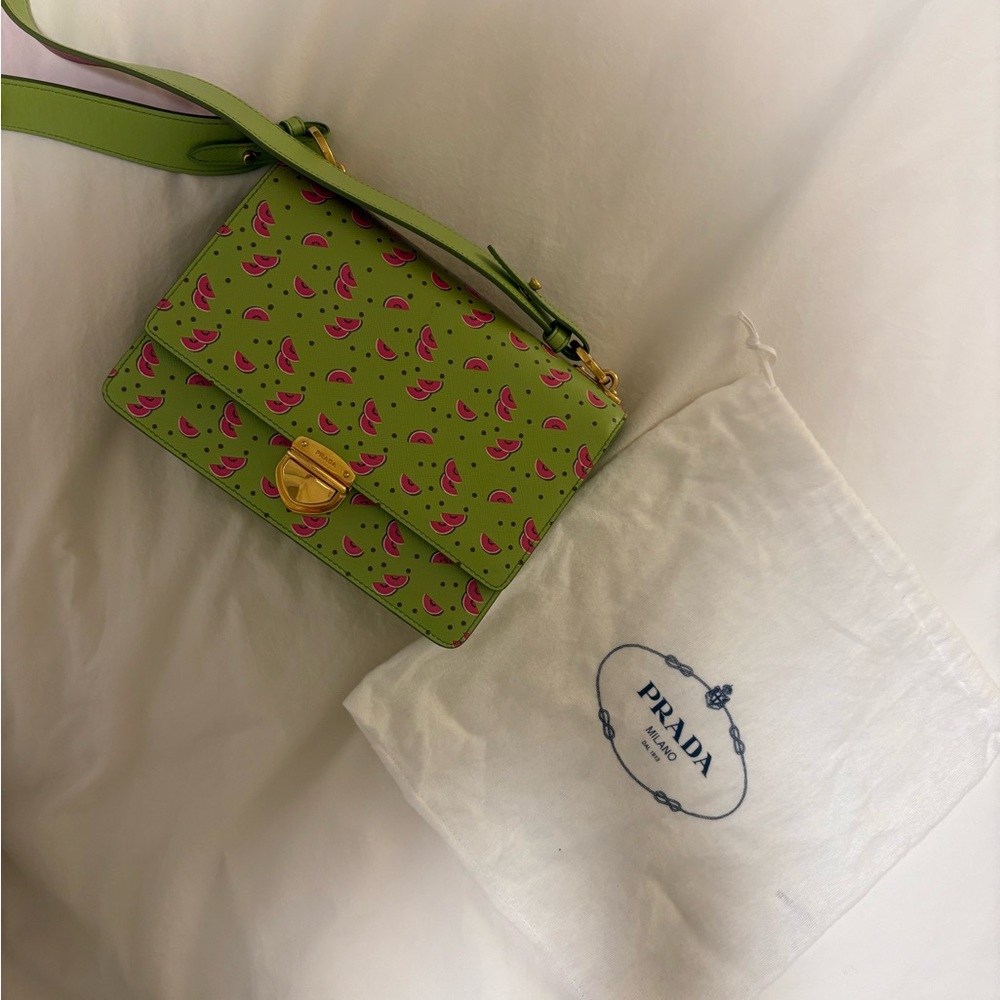 Prada Green Watermelon Print bag